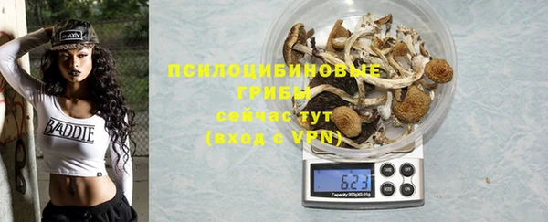 PSILOCYBIN Одинцово