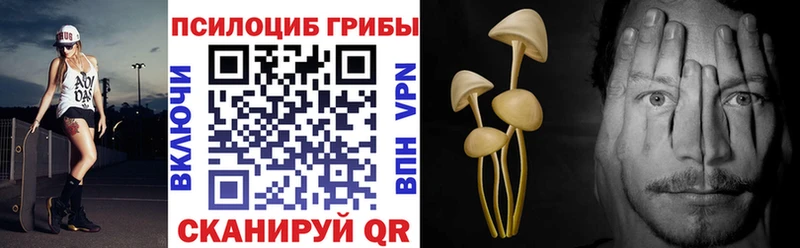 Галлюциногенные грибы Psilocybine cubensis как найти Вилючинск